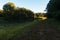 Beautiful shot of a green field and pond with lots of lush trees in background on sunny day