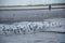 Beautiful shot of a group of seagulls preparing for flight on a beach