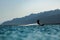 Beautiful shot of a kitesurfer gliding on the lagoon's water