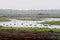 Beautiful shot of lake with green lands on gloomy day in Norfolk UK