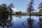 Beautiful shot of a lake with the reflections of trees and the sky in Australia