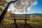 Beautiful shot of a lonely bench in a valley on a sunny autumn day - solitude concept