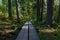 Beautiful shot of a long boardwalk footpath in a forest