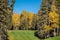 Beautiful shot of lush autumn trees in Prince Albert National Park, Saskatchewan