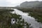 Beautiful shot of a marsh with a mountain on the background