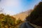 Beautiful shot of mist floating over a trail in Phobjikha Valley, Wangdue Phodrang, Bhutan