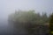 Beautiful shot of a misty day on the Sea Lion Trail, Sleeping Giant Provincial Park, Ontario, Canada