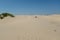 Beautiful shot of Monahans Sandhills State Park with a clear blue sky