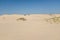 Beautiful shot of Monahans Sandhills State Park with a clear blue sky