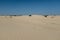 Beautiful shot of Monahans Sandhills State Park with a clear blue sky