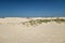 Beautiful shot of Monahans Sandhills State Park with a clear blue sky