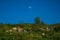 Beautiful shot of a moon seen during day time over a rural housing village