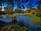 Beautiful shot of a mossy lake surrounded by trees