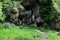 Beautiful shot Mother Mary on a rock mountain surrounded with bushes