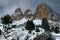 Beautiful shot mountain and trees of Sella Pass Plan in Italy