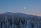 Beautiful shot of a mountainous forest with fir trees and a bright  moon in the sky