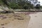 Beautiful shot of a muddy river with mossy stones, seaweeds and greenery