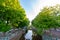 Beautiful shot of a narrow water canal lined with lush sidewalk trees
