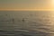Beautiful shot of paddle boarders sup surfing on the water at sunset