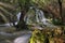 Beautiful shot of the rocks and trees near the waterfall in Marbella, Spain during daylight