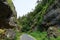 Beautiful shot of a rocky mountain pass with green grass and trees on a daylight