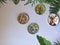 Beautiful shot of a room wall with four plates with different animals paintings