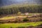 Beautiful shot of rural Phobjikha Valley, Wangdue Phodrang, Bhutan