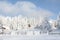 Beautiful shot of a rural territory in a snowy forest landscape