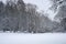 Beautiful shot of a scenic woody terrain covered with snow