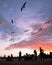 Beautiful shot of silhouettes of people looking at the red sky during sunset full of birds