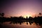 Beautiful shot of silhouettes of plants under the purple sky and the sun setting  in the background