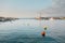 Beautiful shot of small buoys floating on the water with buildings on the shore