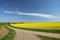 Beautiful shot of a spring landscape, cultivated colorful raps field in Germany