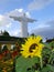 Beautiful shot with a sunflower and in the background a statue of Jesus Christ with outstretched arms