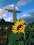 Beautiful shot with a sunflower and in the background a statue of Jesus Christ with outstretched arms