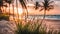 beautiful shot of a sunset at the beach with palm trees