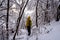 Beautiful shot of a traveller in a forest covered in snow during the day in winter