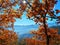 Beautiful shot of a tree with brown leaves and an overlooking view of mountains on a sunny day