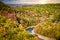 Beautiful shot of trees near a river in Letchworth Park, New York