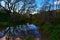 Beautiful shot of trees reflecting on a lake at Chadwick Lakes, Maltese Islands in Malta