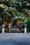 Beautiful shot of two concrete post and trees lined footpath through a park