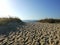 Beautiful shot of waving sand on the beach with green plants on a blue sky background