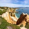 Beautiful shot of yellow flowers on the cliff of Praia do Camilo beach in Algarve Portugal