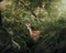 Beautiful shot of a young deer standing between the trees and grass in the animals park