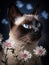 Beautiful siamese cat with blue eyes and pink flowers, pet portrait