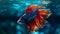 A beautiful siamese fighting fish swims in a vibrant underwater world generated by AI