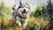 Beautiful Siberian Husky Playing Fetch In Green Meadow