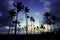 Beautiful silhouette palm tree during blue hour. image taking during monsoon season near the beach.