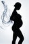 Beautiful silhouette of pregnant woman