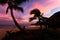 Beautiful silhouetted palm trees and vibrant tropical sunset